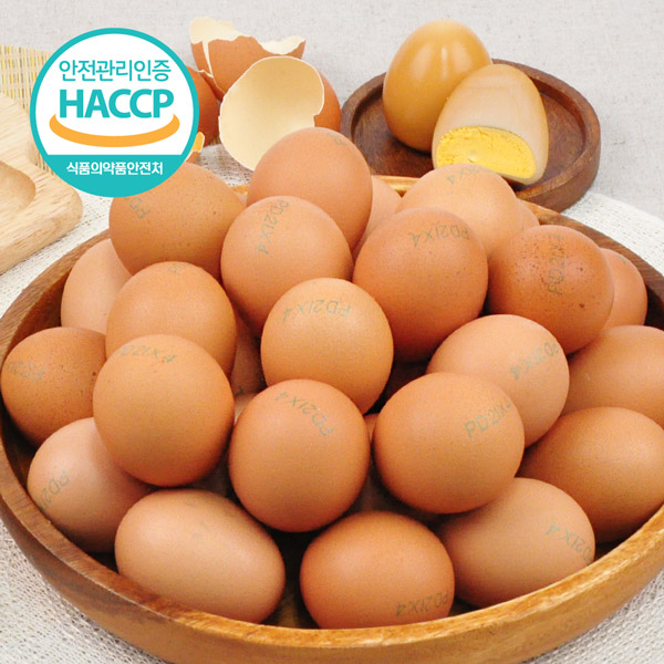 [HACCP] 무항생제인증 계란으로 구운 쫀득한 계란 60개